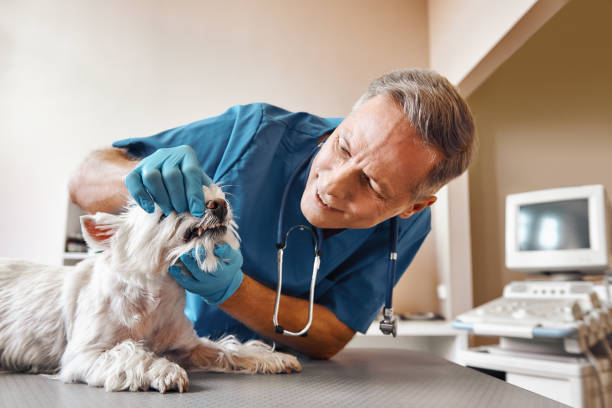 Best Emergency Tooth Extraction in Whitesboro, AL